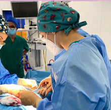 Carica l'immagine nel visualizzatore di Gallery, Organi/verde