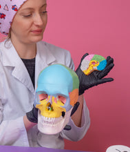 Carica l&#39;immagine nel visualizzatore di Gallery, Formina Cervello ( tipo Taglia Biscotti )
