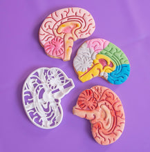 Carica l&#39;immagine nel visualizzatore di Gallery, Formina Cervello ( tipo Taglia Biscotti )
