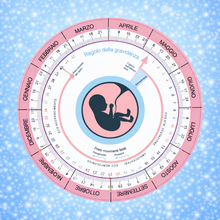 Carica l'immagine nel visualizzatore di Gallery, REGOLO Baby
