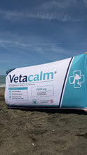 Carica l'immagine nel visualizzatore di Gallery, Telo mare Veterinario
