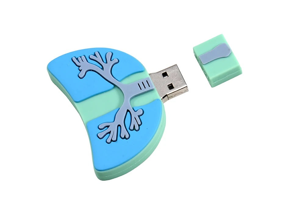 Polmoni USB