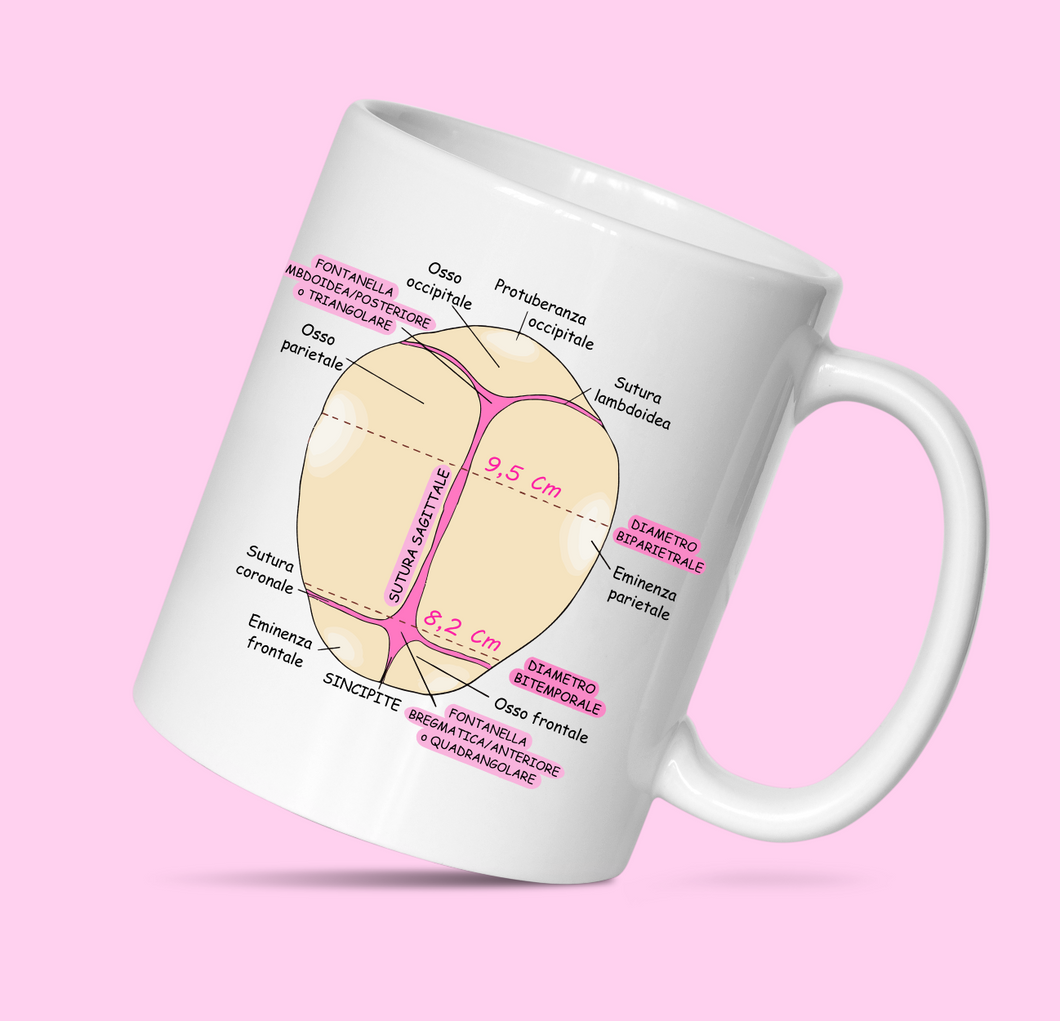 Tazza Suture e fontanelle fetali