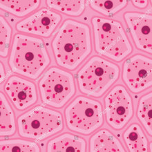 Carica l&#39;immagine nel visualizzatore di Gallery, Tessuto epiteliale/rosa
