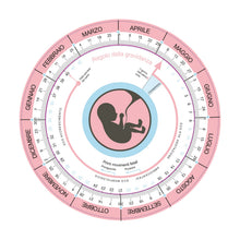 Carica l'immagine nel visualizzatore di Gallery, REGOLO Baby
